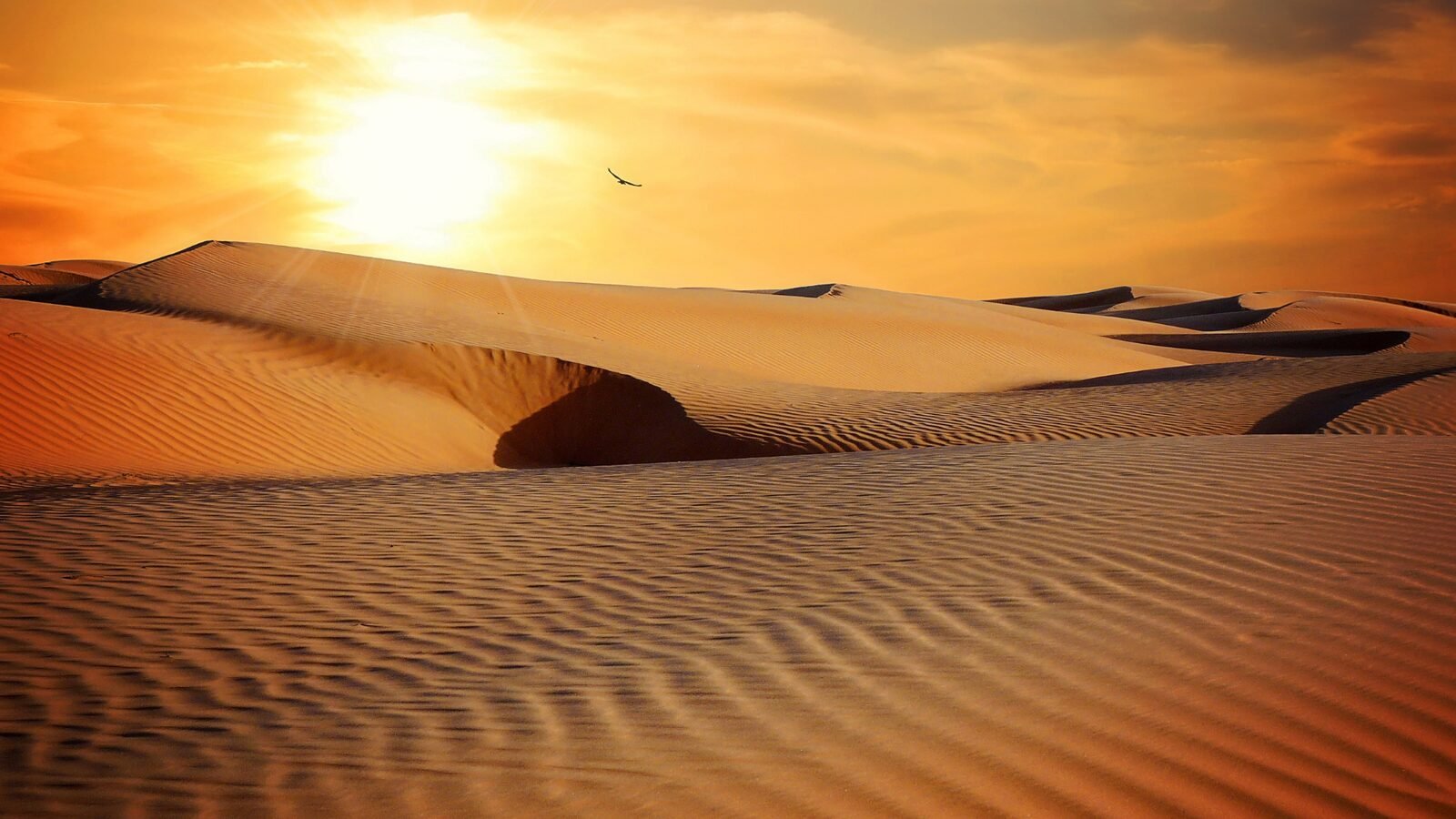 The desert at dusk